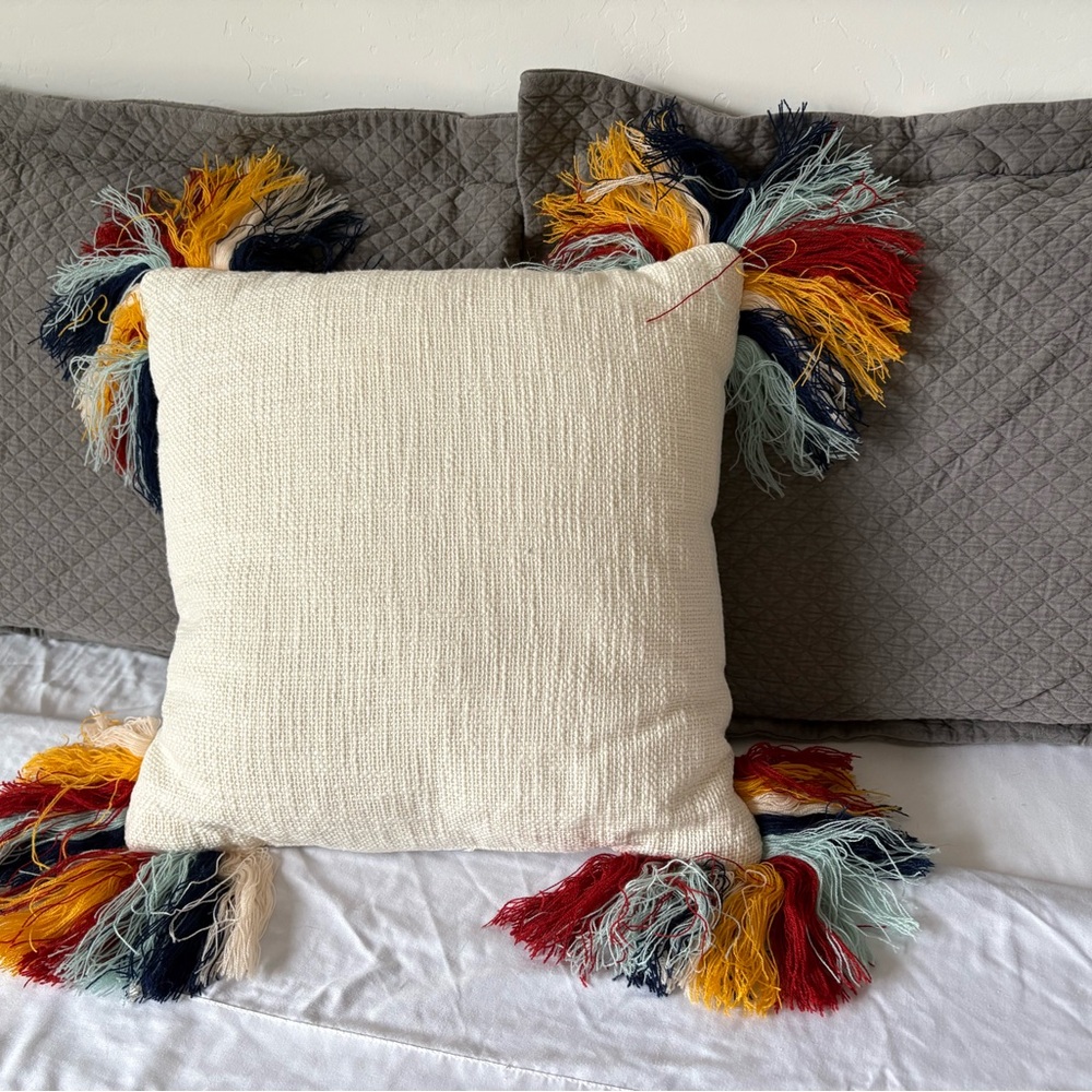 Colorful Fringe Throw Pillow
